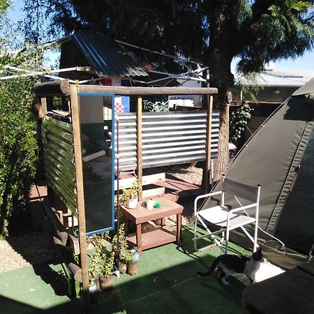Xenia Bed & Breakfast Windhoek Eksteriør billede