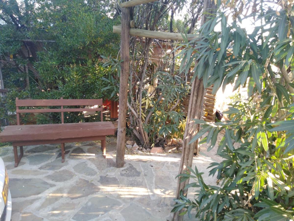 Xenia Bed & Breakfast Windhoek Eksteriør billede