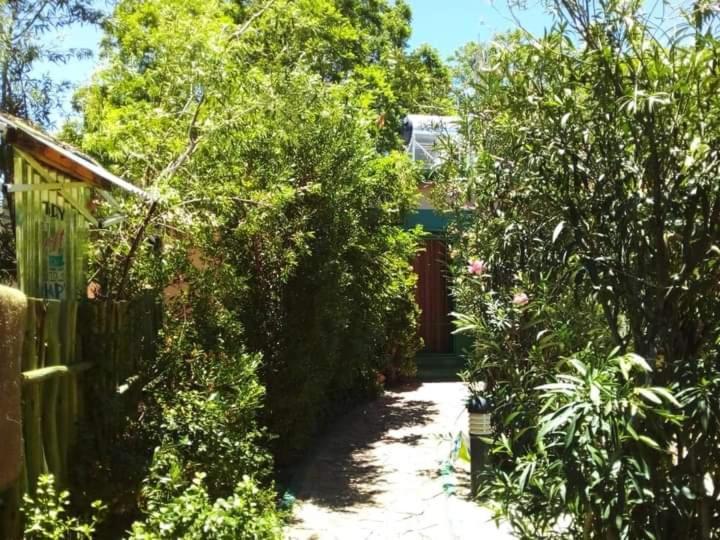 Xenia Bed & Breakfast Windhoek Eksteriør billede